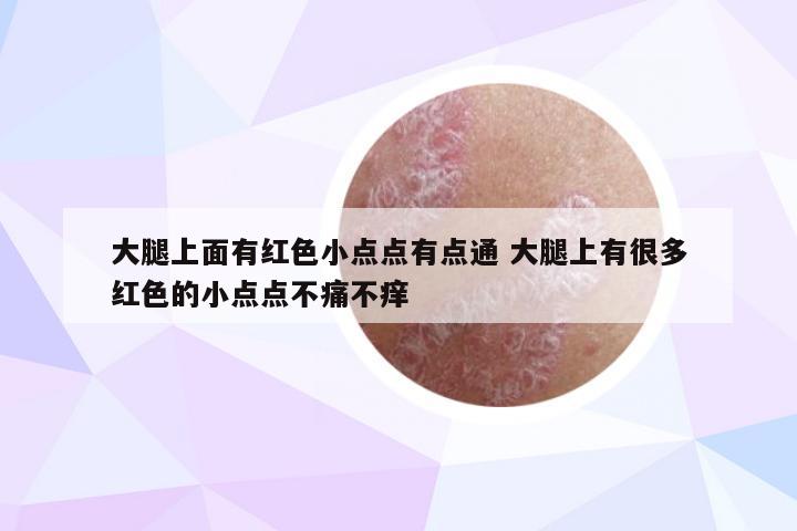 大腿上面有红色小点点有点通 大腿上有很多红色的小点点不痛不痒