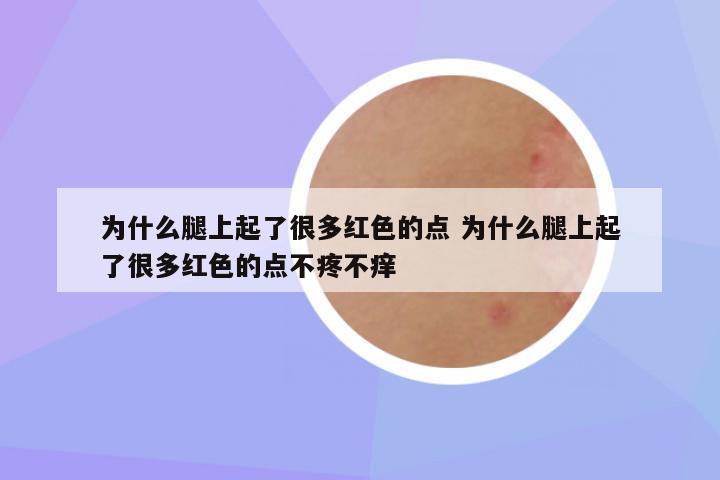 为什么腿上起了很多红色的点 为什么腿上起了很多红色的点不疼不痒