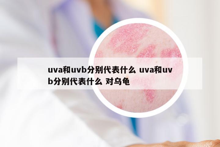 uva和uvb分别代表什么 uva和uvb分别代表什么 对乌龟