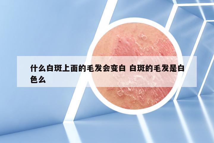 什么白斑上面的毛发会变白 白斑的毛发是白色么