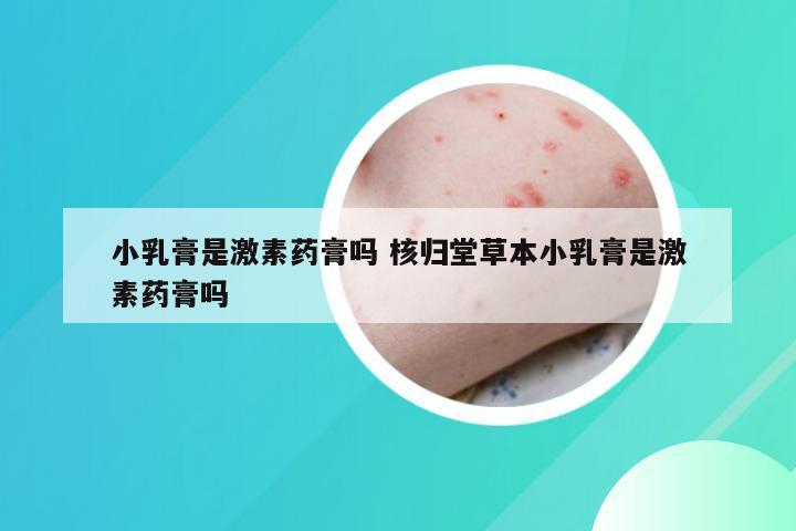 小乳膏是激素药膏吗 核归堂草本小乳膏是激素药膏吗