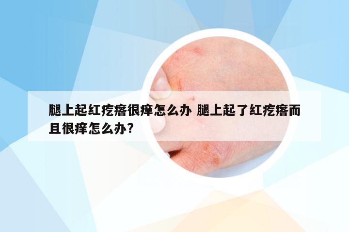 腿上起红疙瘩很痒怎么办 腿上起了红疙瘩而且很痒怎么办?