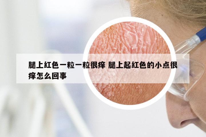 腿上红色一粒一粒很痒 腿上起红色的小点很痒怎么回事