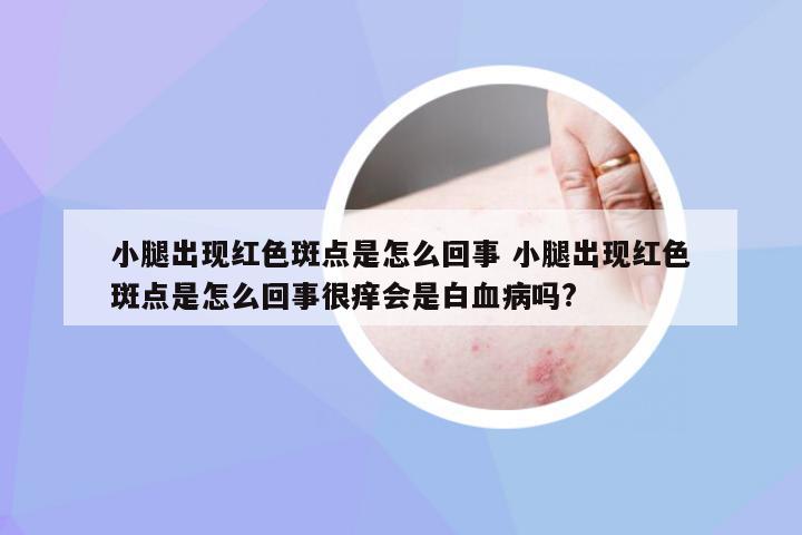 小腿出现红色斑点是怎么回事 小腿出现红色斑点是怎么回事很痒会是白血病吗?